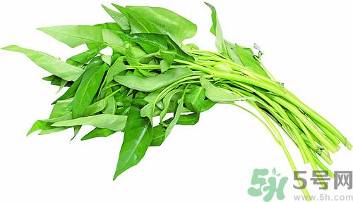 空心菜和雞能一起吃嗎？空心菜怎么吃有營(yíng)養(yǎng)？