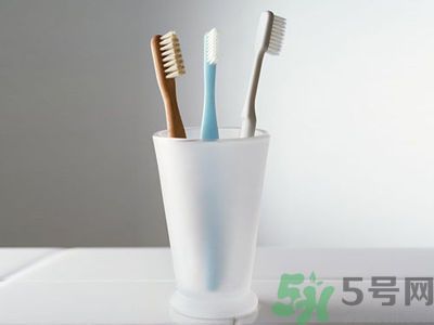 牙齦出血要換牙刷嗎？牙刷多久換一次好？