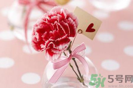 母親節(jié)送什么顏色的康乃馨？母親節(jié)應(yīng)該買什么顏色的康乃馨？