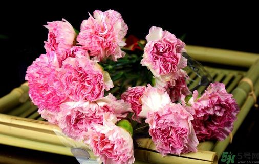 母親節(jié)送什么花好？母親節(jié)應(yīng)該送什么鮮花？