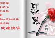 母親節(jié)送什么花好？母親節(jié)應(yīng)該送什么鮮花？