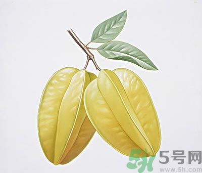 楊桃和什么不能一起吃？楊桃不能與什么同食？
