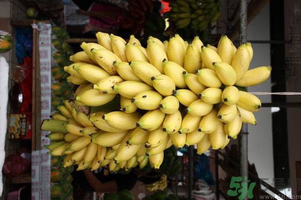 孕婦可以吃牛奶蕉嗎？孕婦吃牛奶蕉好嗎？