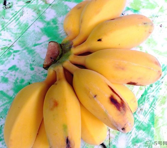 什么是牛奶蕉？牛奶蕉好吃嗎？