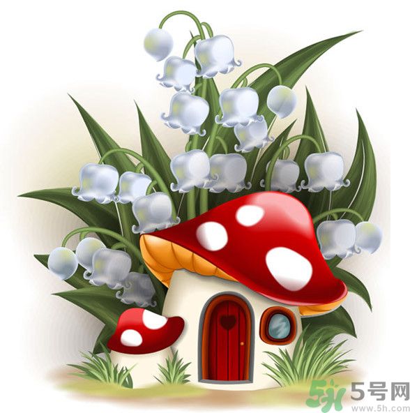 吃蘑菇可以喝酒嗎？吃蘑菇喝酒會(huì)中毒嗎？