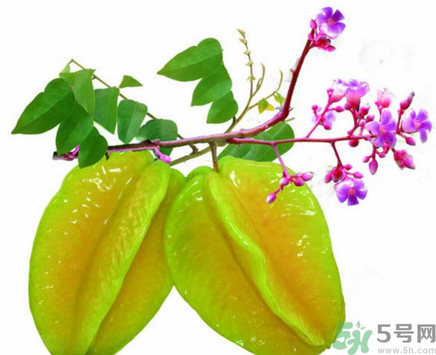 慢性腎炎可以吃楊桃嗎？慢性腎炎吃楊桃好嗎？
