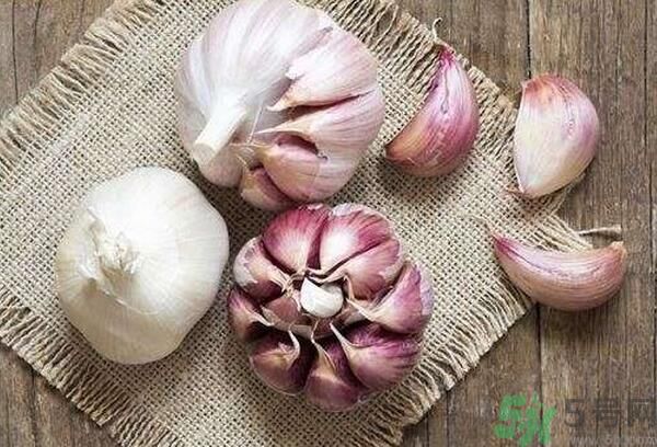 提高記憶力要吃什么食物？吃什么食物提高記憶力？