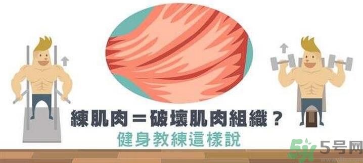 練肌肉會(huì)破壞肌肉組織嗎？練肌肉要注意什么呢？