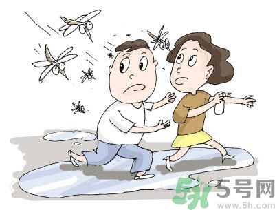 被蚊子咬很癢怎么辦？被蚊子咬要怎么止癢？