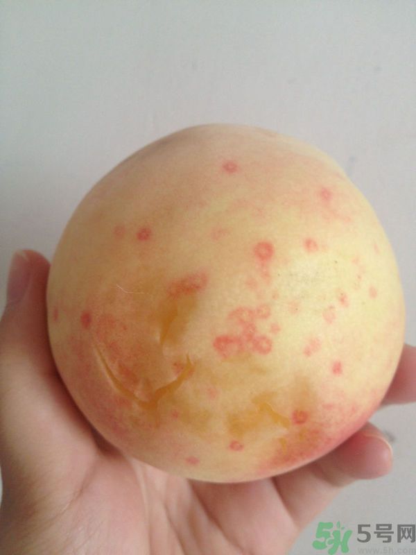桃子上有紅點能吃嗎？桃子上有黑點可以吃嗎？