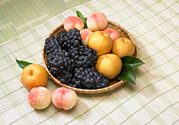 桃子和梨子能一起吃嗎？桃子和梨子一起吃好嗎？