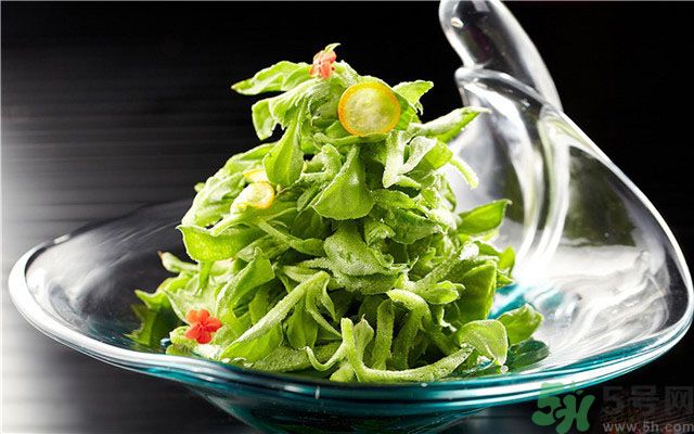 什么是冰草？冰草有什么作用？