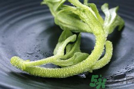冰草好吃嗎？冰草怎么做好吃？