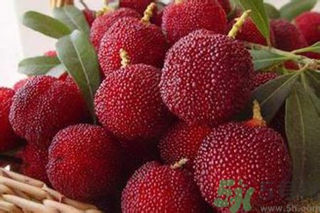 胃潰瘍可以吃楊梅嗎？胃潰瘍吃楊梅好嗎？