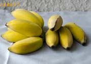 牛奶蕉可以減肥嗎？牛奶蕉怎么吃減肥？