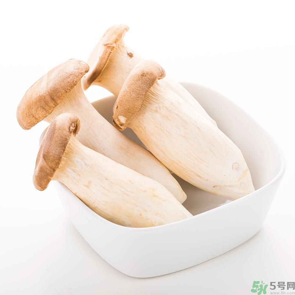 吃杏鮑菇有什么好處？吃杏鮑菇對身體好嗎？