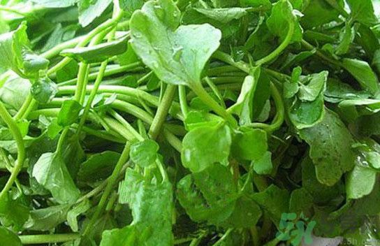 水腫能吃茄子嗎？茄子能消水腫嗎？