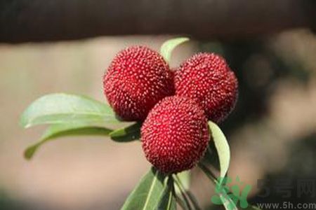 吃楊梅會(huì)上火嗎？吃楊梅上火怎么辦？