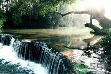 為什么夏至有雨三伏熱？夏至有雨三伏熱是什么意思？
