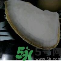 椰子可以放冰箱嗎？椰子放冰箱容易壞嗎？