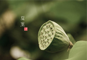 夏至有什么習(xí)俗？夏至吃什么傳統(tǒng)食物？