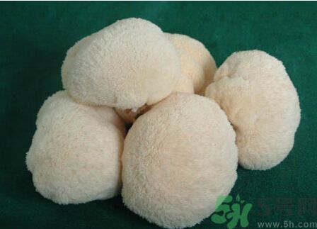 吃猴頭菇有什么好處？猴頭菇有什么營養(yǎng)價值？