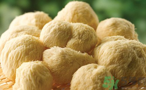 吃猴頭菇有什么好處？猴頭菇有什么營養(yǎng)價值？