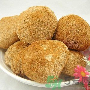 吃猴頭菇有什么好處？猴頭菇有什么營養(yǎng)價值？