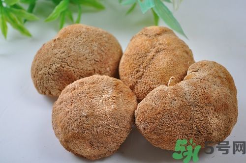 猴頭菇粉怎么做？猴頭菇餅干怎么做？