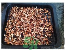 猴頭菇粉怎么做？猴頭菇餅干怎么做？
