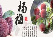 喉嚨痛可以吃楊梅嗎？喉嚨痛吃楊梅好嗎？