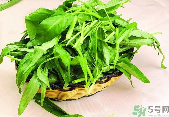 空心菜有什么功效？空心菜的功效是什么？