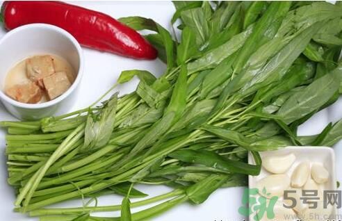 空心菜吃葉子還是吃桿？空心菜吃葉子好嗎？