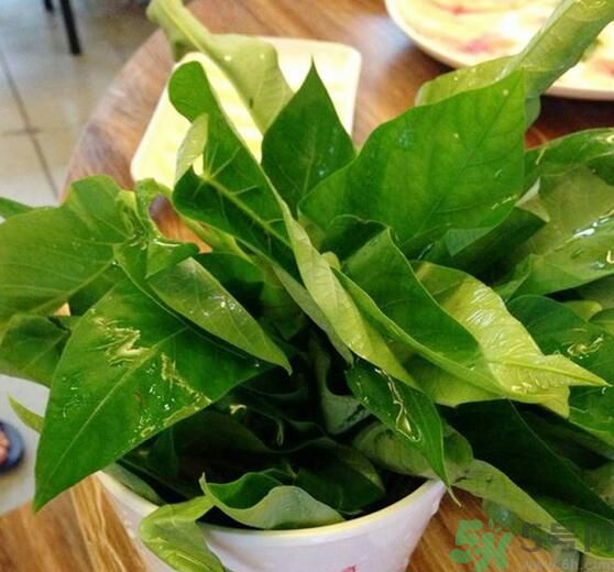 空心菜泡水了還能吃嗎？泡水的空心菜可以吃嗎？