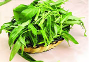 吃空心菜有什么好處？多吃空心菜對身體好嗎？
