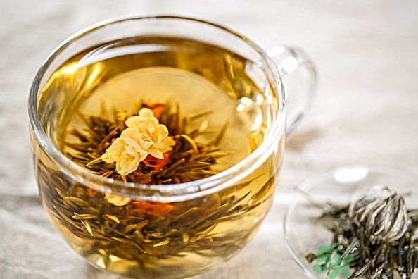 茉莉花綠茶加苦瓜能減肥嗎？茉莉花和苦瓜泡水喝嗎？