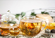 茉莉花綠茶加苦瓜能減肥嗎？茉莉花和苦瓜泡水喝嗎？