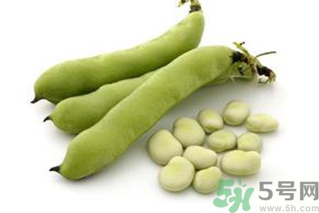蠶豆是熱性還是涼性？蠶豆是熱性的嗎？