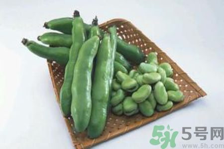 蠶豆是熱性還是涼性？蠶豆是熱性的嗎？