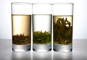 茯苓和苦丁茶能一起泡嗎？茯苓可以和苦丁茶一起喝嗎？