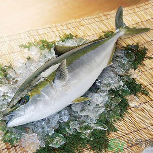 冷凍肉解凍不好吃怎么辦？冷凍肉怎樣解凍好吃？