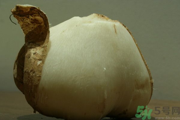 涼薯吃多了好嗎？地瓜吃多了會(huì)上火嗎？