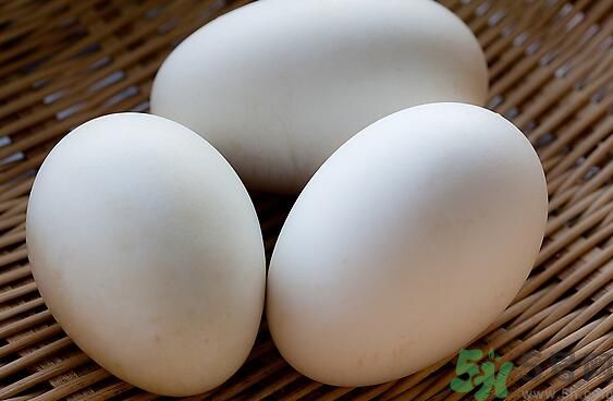 鵝蛋可以清火嗎？鵝蛋可以降火嗎？