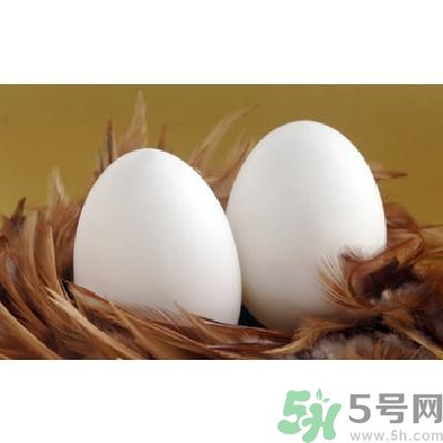 鵝蛋可以清火嗎？鵝蛋可以降火嗎？