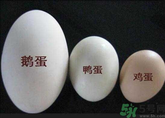 鵝蛋和鴨蛋哪個好？鵝蛋和鴨蛋哪個清火效果好？