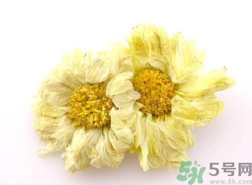 菊花晶能喝綠豆湯一起喝嗎？菊花晶和綠豆湯可以一起喝嗎？