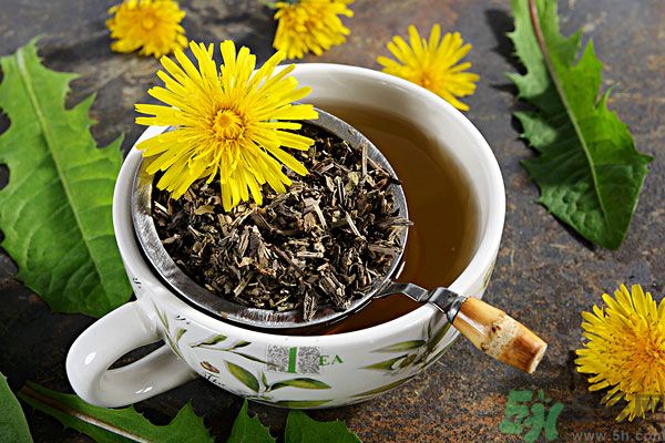 蒲公英泡茶有什么功效？蒲公英泡茶的功效是什么？