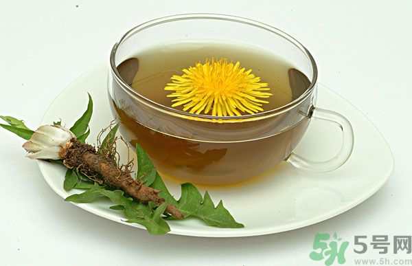 蒲公英根泡茶好還是蒲公英葉泡茶好？蒲公英根和葉哪個效果好？