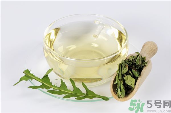 蒲公英根泡茶好還是蒲公英葉泡茶好？蒲公英根和葉哪個效果好？