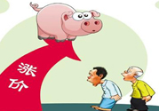 豬肉價格為什么驚動世界？豬肉價格一直上漲的原因是什么？